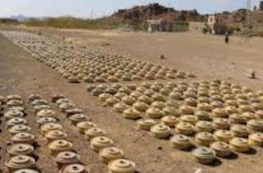 خلال شهر مايو مشروع «مسام» يسجل أعلى معدل شهري منذ 2023 بنزع 7,400 لغم ومتفجر في اليمن..