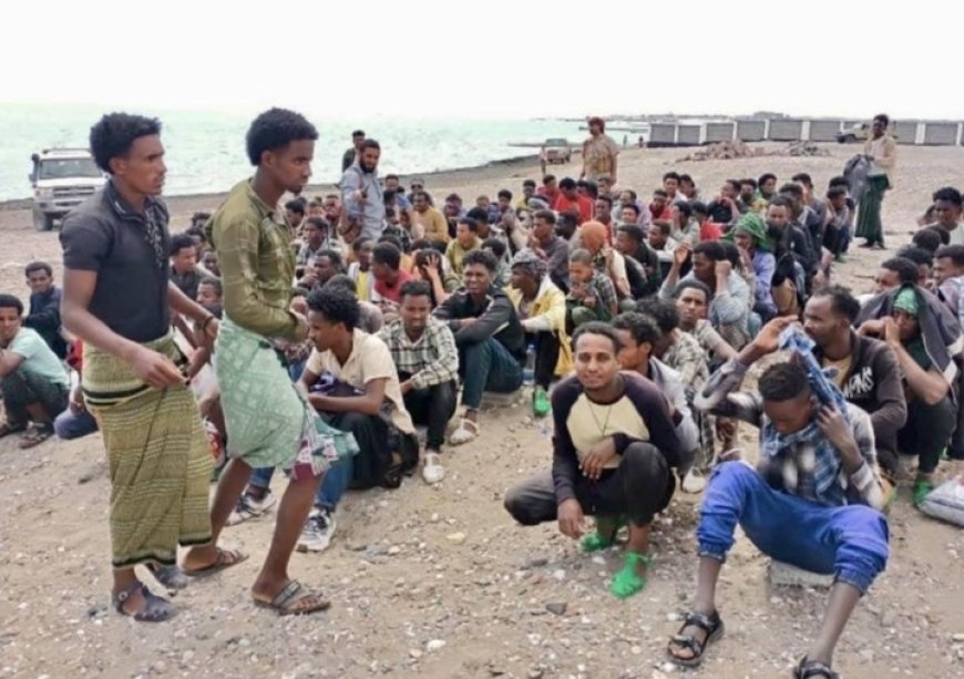 تحرير 183 مهاجراً أفريقياً وموجة جديدة من التهريب إلى اليمن...