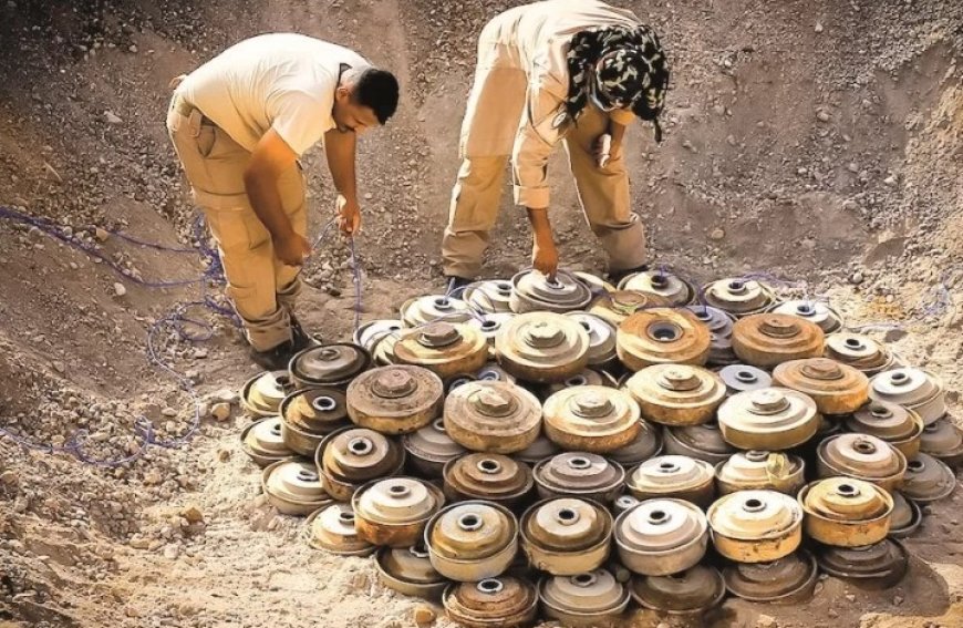 الصليب الأحمر يحذر من هذا الأمر في اليمن ...