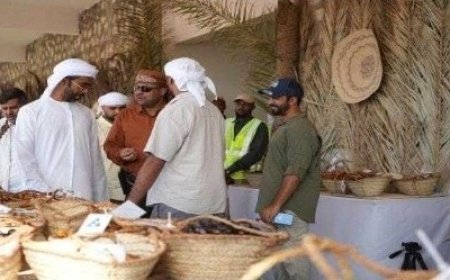 مهرجان التمور في سقطرى يبرز تنوع الإنتاج المحلي ويحفز المزارعين على التنافس...