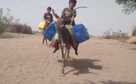 أهالي قرية أمجردوف محافظة لحج يناشدون بحفر بئر لتخفيف معاناتهم من شح المياه..