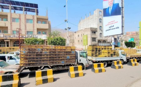 بعد أزمةالمياه.. تعز تواجه "أزمة جديدة"! تجار الدجاج يحتجون أمام مبنى المحافظة(صورة)