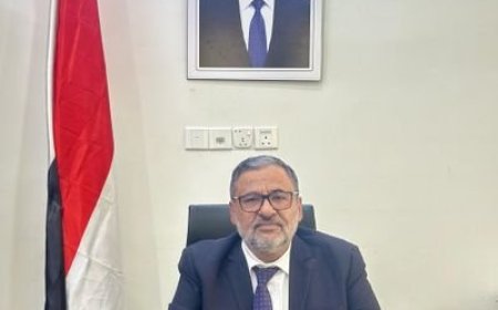 اليوسفي : الكهرباء بحاجة إلى خطة عاجلة لإنقاذ المحطة الغازية