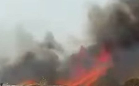 عاجل :مأساة إنسانية تضرب نازحي محل الهندي جنوب القناوص في الحديدة(صور أولية)