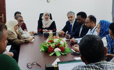 رئيس الجهاز المركزي للإحصاء تبحث مع صندوق الأمم المتحدة للسكان والأوتشا تعزيز التعاون  المشترك