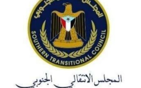 العميد نصر المشوشي قائداً عاماً لألوية الدعم والإسناد..