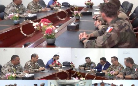 وفد عسكري فرنسي يزور المخا لبحث تعزيز الأمن البحري ومكافحة التهريب...