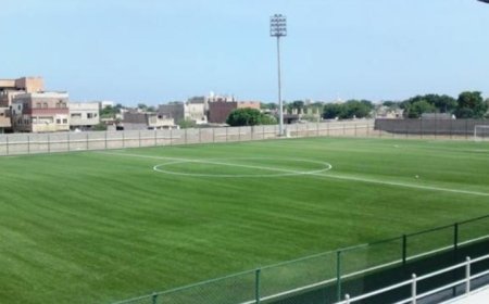 وحدة العاصمة عدن يضع ملعبه على خارطة التميز بالعشب العالمي الجديد ...