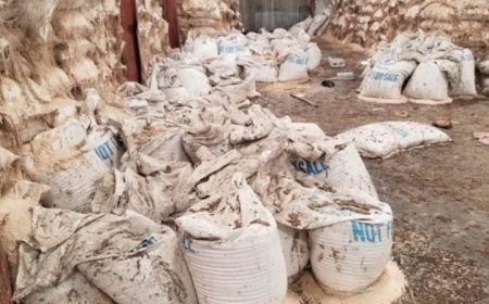 فضيحة فساد غذائي في مخازن برنامج الغذاء في عدن يكشف عنها الباحث الخراز ...