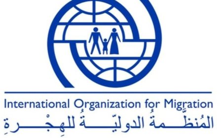 المنظمة الدولية للهجرة تكشف عن هذا الأمر في اليمن ...