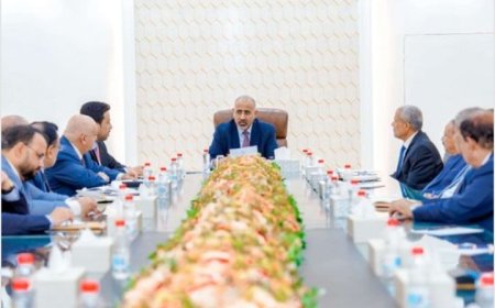 الزُبيدي يشدد على ضرورة توحيد الجهود بين السلطات المحلية وكتلة المجلس الانتقالي في الحكومة...