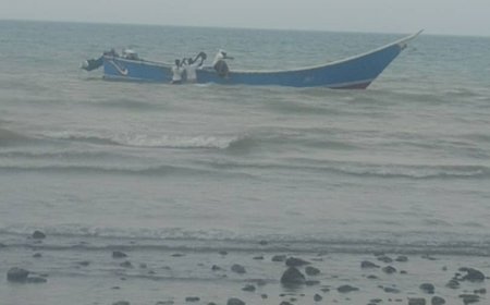 الوية العمالقة الجنوبية تحقق انجازاً امنياً جديداً في ساحل السقياء...