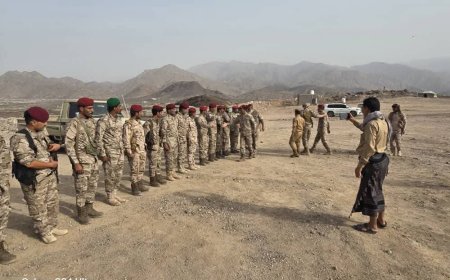 العميد نصر اليافعي يطّلع على جاهزية اللواء الثالث دعم وإسناد بمحور أبين