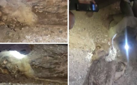 العثور على مومياء في الجوف يفضح نهب الآثار اليمنية...