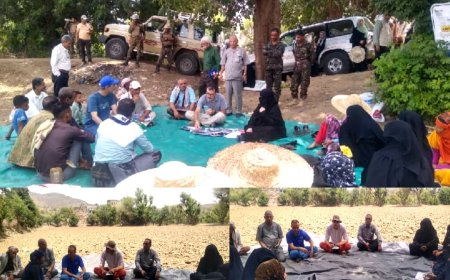 لقاء تقييمي بتعز يستعرض الأثر الإيجابي لمدارس المزارعين الحقلية في تعزيز الإنتاج الحيواني....