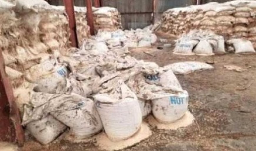 فضيحة فساد في توزيع قمح فاسد عبر برنامج الغذاء العالمي....