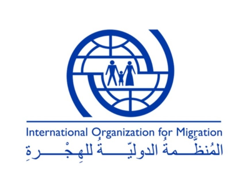 74٪ من نازحي تعز ولحج ومأرب يفضلون البقاء بمواقع النزوح.....