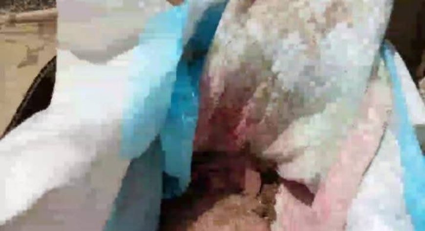 جريمة مروعة تهز الضالع: ذب،ح طفلة رضيعة ودفنها بطريقة صادمة(صورة)