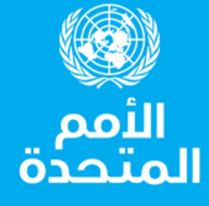 الامم المتحدة تحذر من هذا الأمر الهام في اليمن ...