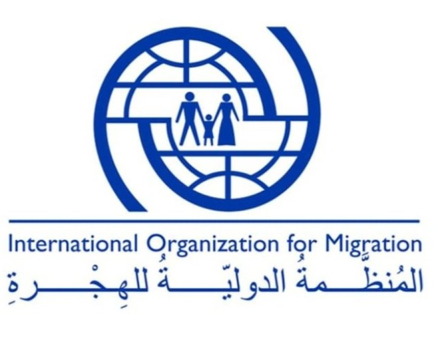 المنظمة الدولية للهجرة تكشف عن هذا الأمر في اليمن ...