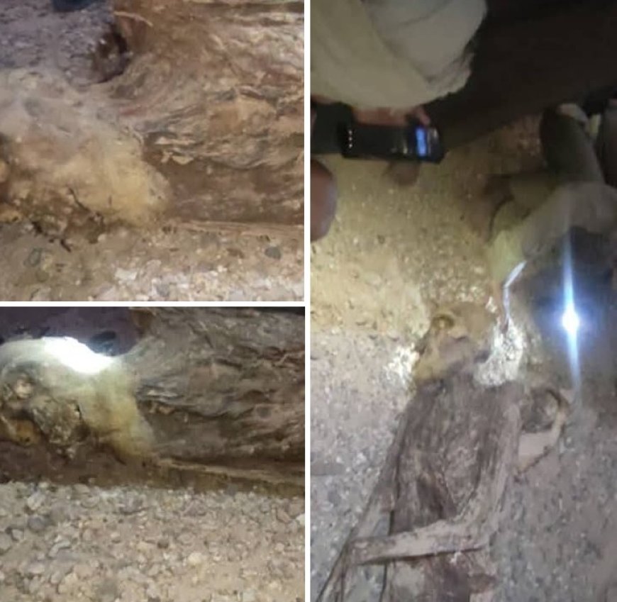 العثور على مومياء في الجوف يفضح نهب الآثار اليمنية...