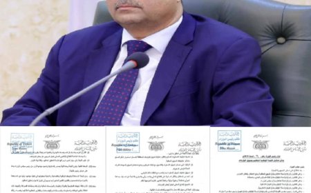 قرار رئيس الوزراء بتشكيل لجنة لتنظيم وتمويل الواردات يُسهم في استقرار سعر الصرف ويضع أسس الرقابة الموحدة...