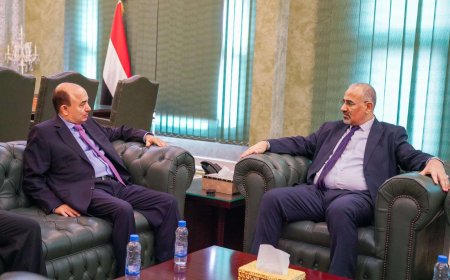 الرئيس عيدروس الزُبيدي يلتقي برجل الأعمال رشاد هائل سعيد أنعم