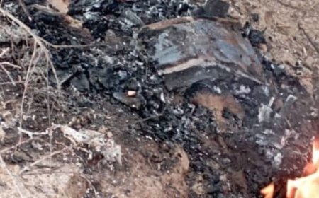 القوات المسلحة الجنوبية تسقط مسيرة وتبطل مفعول تفجير عبوة ناسفة في ابين....