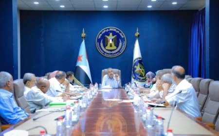 الهيئة الاقتصادية والخدمية تناقش مستجدات الوضع الاقتصادي في الجنوب..
