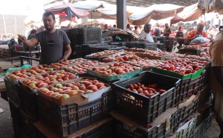 مدير عام سوق الخضار المركزي المنصورة : نحن ملتزمون بالتسعيرة الرسمية بأسعار الخضار والفواكة من الجهات المختصة  ...