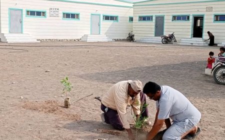 مدير تربية الحديدة يطلق مبادرة تشجير المدارس في الخوخة...