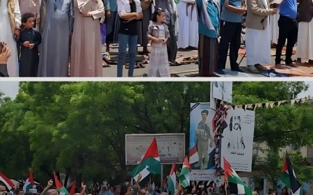 تنديدا بالانتهاكات الإسرائيلية في قطاع غزة تظاهرة حاشدة في تعز ...