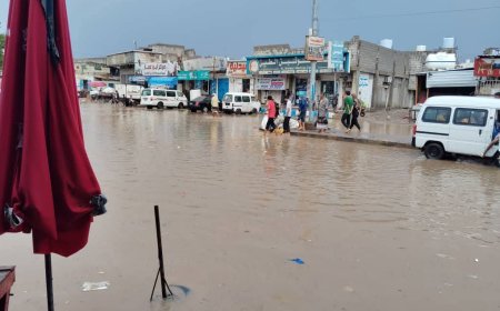 عاجل:إعلان كبرى الأحياء في الشيخ عثمان بعدن منطقة منكوبة جراء الأمطار الغزيرة(صور)