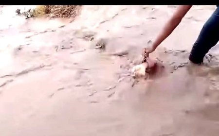 عاجل: العثور على جثة رجل جرفته السيول في باجل بالحديدة عقب أمطار غزيرة