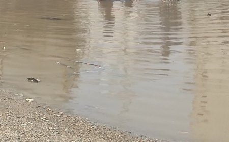 جهود متواصلة لتصريف مياه الأمطار في الشيخ عثمان بعدن