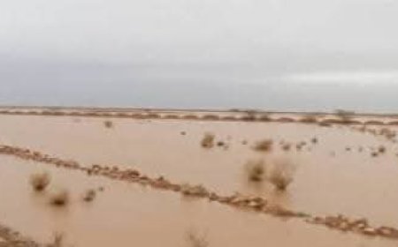 عاجل: أمطار غزيرة تحول منطقة العقلة بصحاري شبوة إلى بحيرات جارفة(صور)