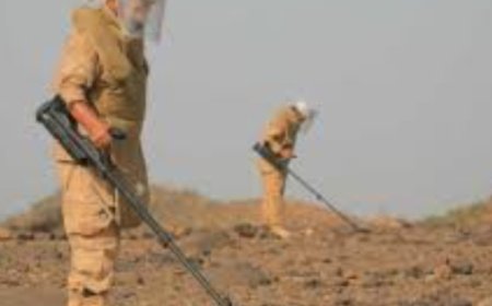 منذ انطلاقه وحتى اغسطس الجاري "مسام" يعلن نزع أكثر من نصف مليون لغم وذخيرة باليمن ...