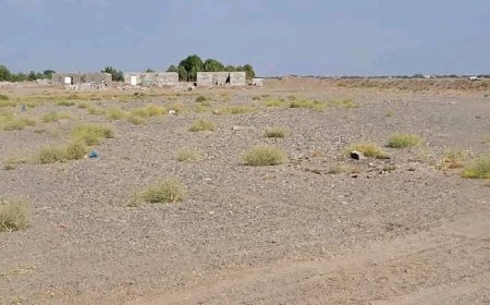 جرمش يؤكد أن الهيئة بصدد نشر "قائمة سوداء" بأسماء المتورطين في الاستيلاء على الأراضي، في الحديدة ...