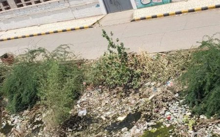 مأرب.. مستنقع مائي أمام مدرسة الميثاق يهدد صحة الطلاب والأهالي(صورة)