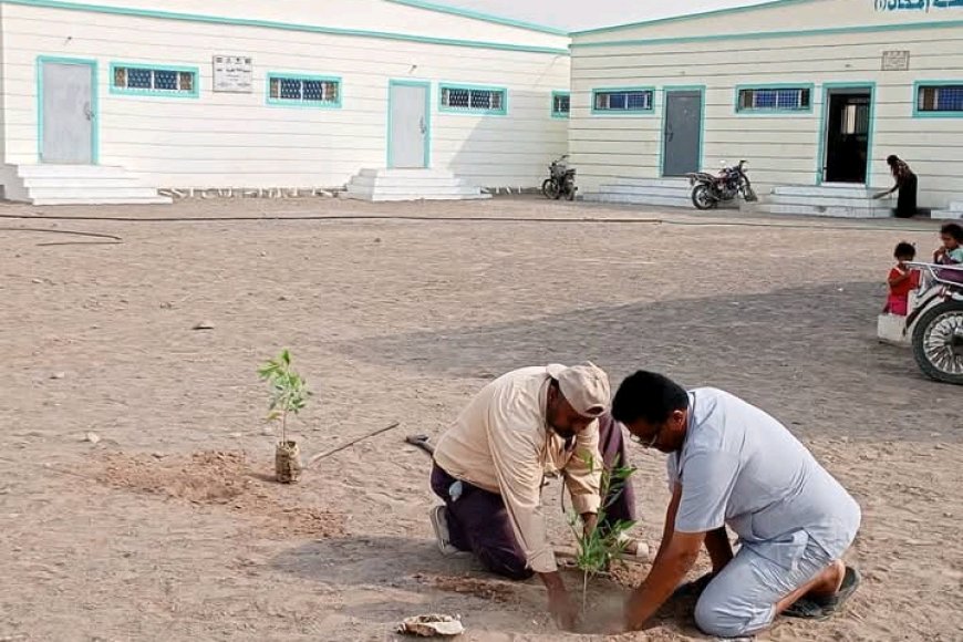 مدير تربية الحديدة يطلق مبادرة تشجير المدارس في الخوخة لتحسين البيئة التعليمية
