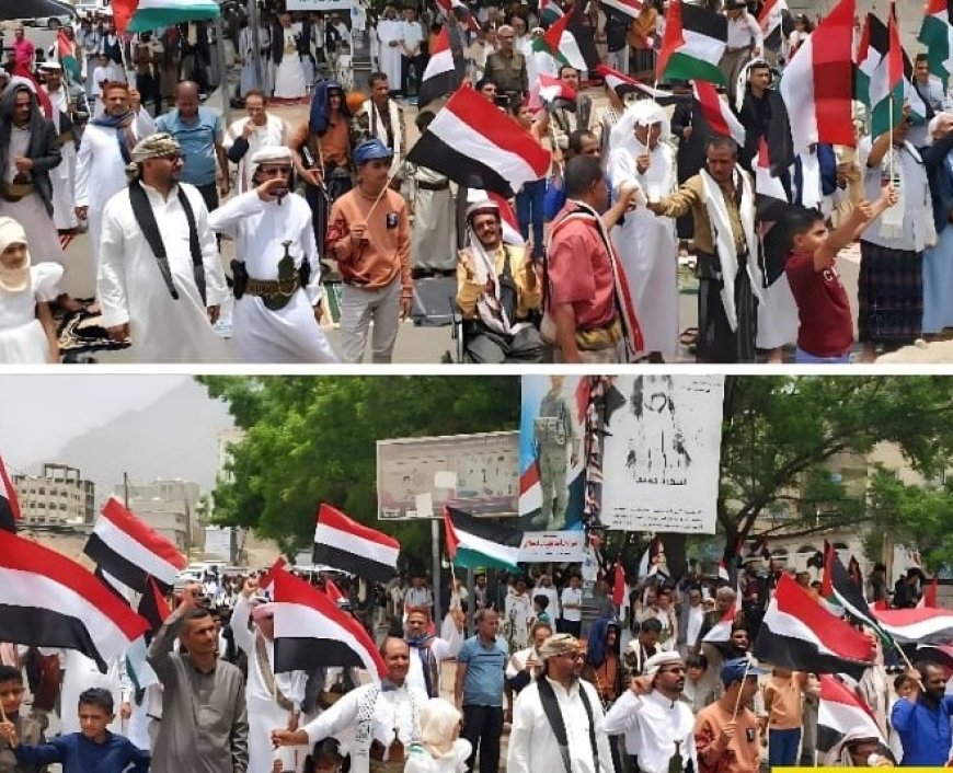 تظاهرة حاشدة تشهدها مدينة تعز تنديدا بجرائم الاحتلال الاسرائيلي وتضامنا مع غزة ...