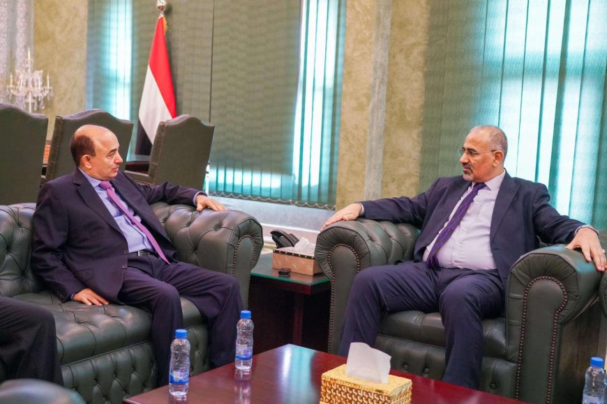 الرئيس عيدروس الزُبيدي يلتقي برجل الأعمال رشاد هائل سعيد أنعم 