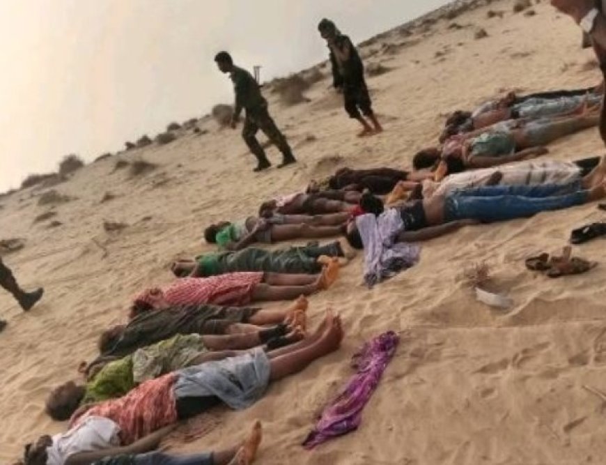 الهجرة الدولية تعلن إنقاذ دفعة جديدة من المهاجرين....