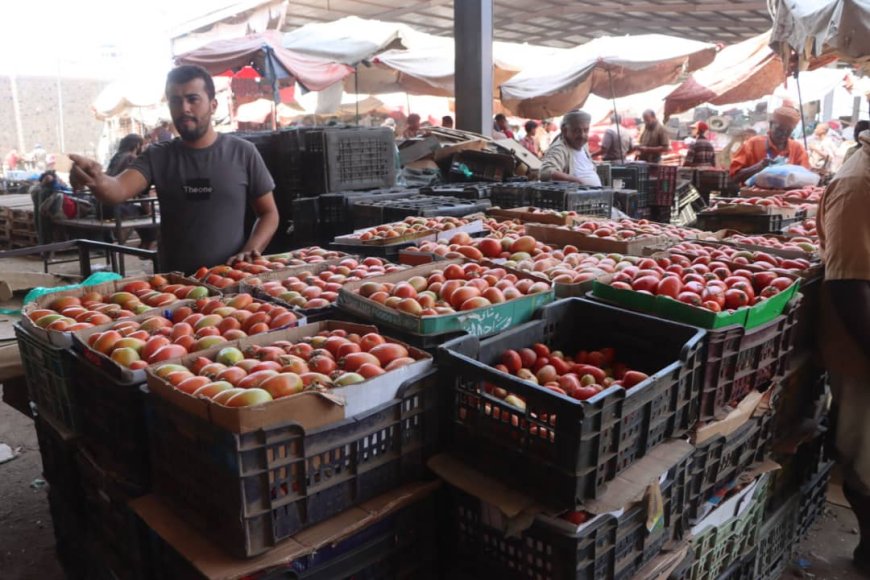 مدير عام سوق الخضار المركزي المنصورة : نحن ملتزمون بالتسعيرة الرسمية بأسعار الخضار والفواكة من الجهات المختصة  ...
