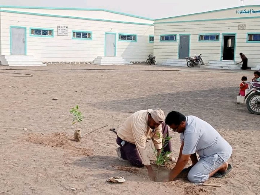 مدير تربية الحديدة يطلق مبادرة تشجير المدارس في الخوخة...