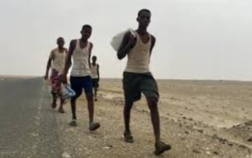 مركز دولي يؤكد أن اليمن ما يزال بوابة رئيسية للهجرة غير النظامية...