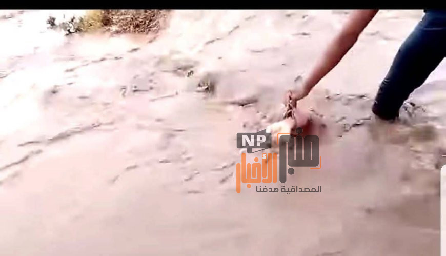 عاجل: العثور على جثة رجل جرفته السيول في باجل بالحديدة عقب أمطار غزيرة