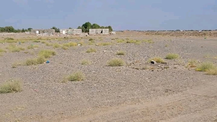 جرمش يؤكد أن الهيئة بصدد نشر "قائمة سوداء" بأسماء المتورطين في الاستيلاء على الأراضي، في الحديدة ...