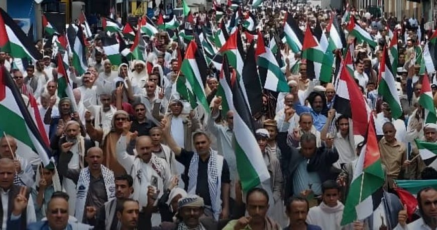 دعما لغزة وتنديدا بالصمت الدولي تظاهرة جماهيرية حاشدة تشهدها تعز ...