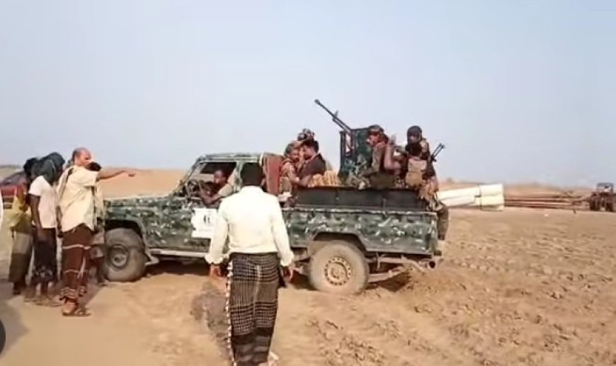 حملة إزالة ضد المعتدين على أملاك الدولة في جنوب الخوخة....